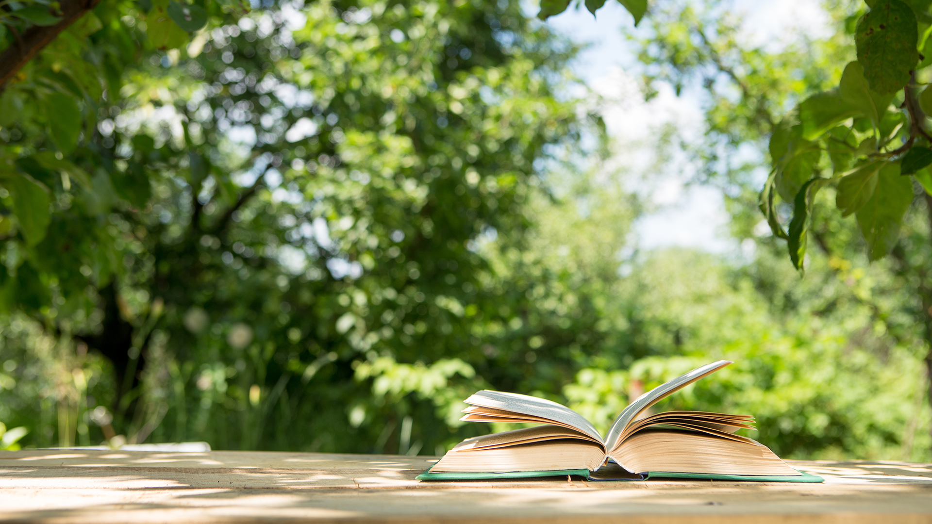 Summer reading and leisure time in nature