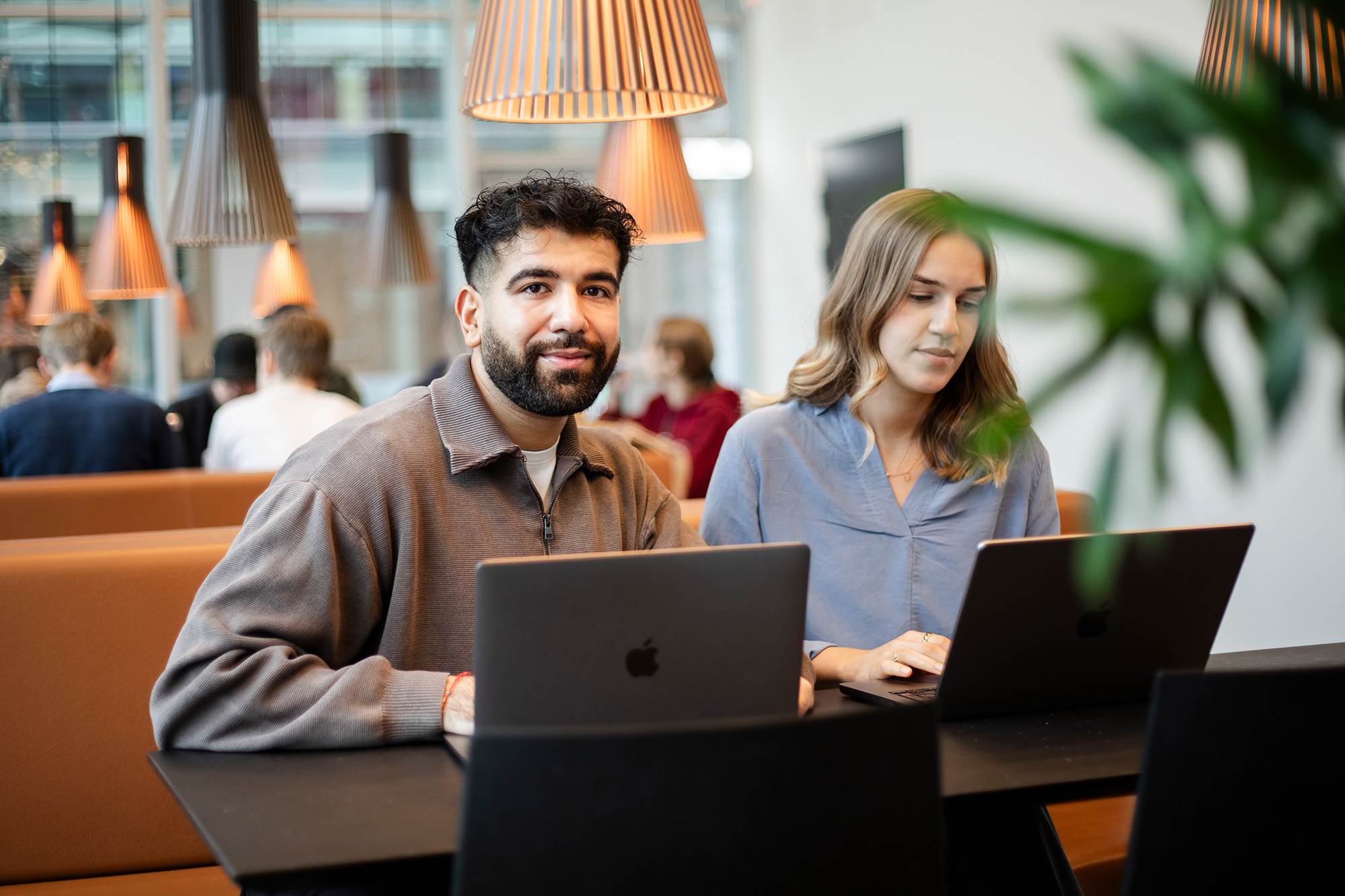 To studerende sidder med deres computer